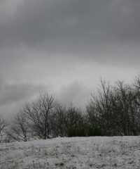 L’esprit du Kissel